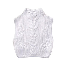 Load image into Gallery viewer, Women Clothing Winter Eight Strand Knitted Metallic Stand Collar Casual Knitted Vest Jacket