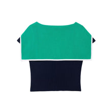 Load image into Gallery viewer, Colorblock Collared Slim Fit Short Knitted Top