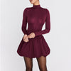 Turtleneck Long Sleeved Tight Waist Pleated A line Dress